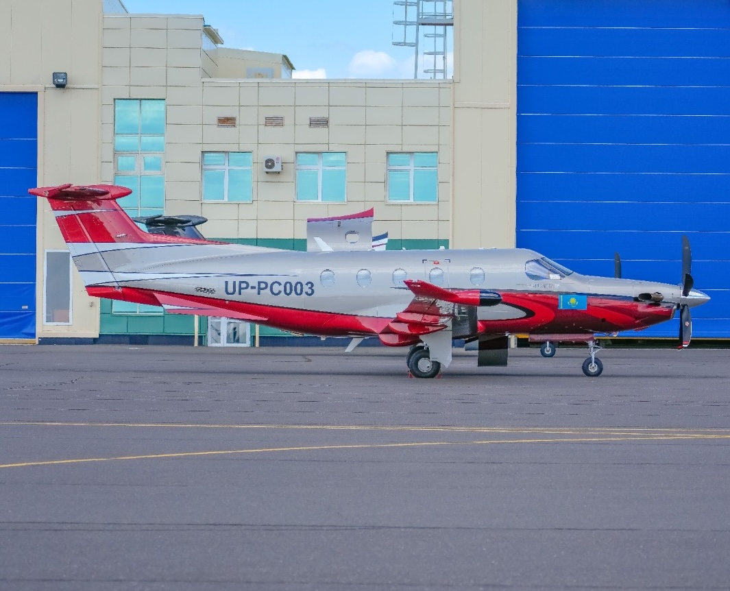 high res lineage 1000 copy.jpg