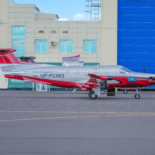 high res lineage 1000 copy.jpg